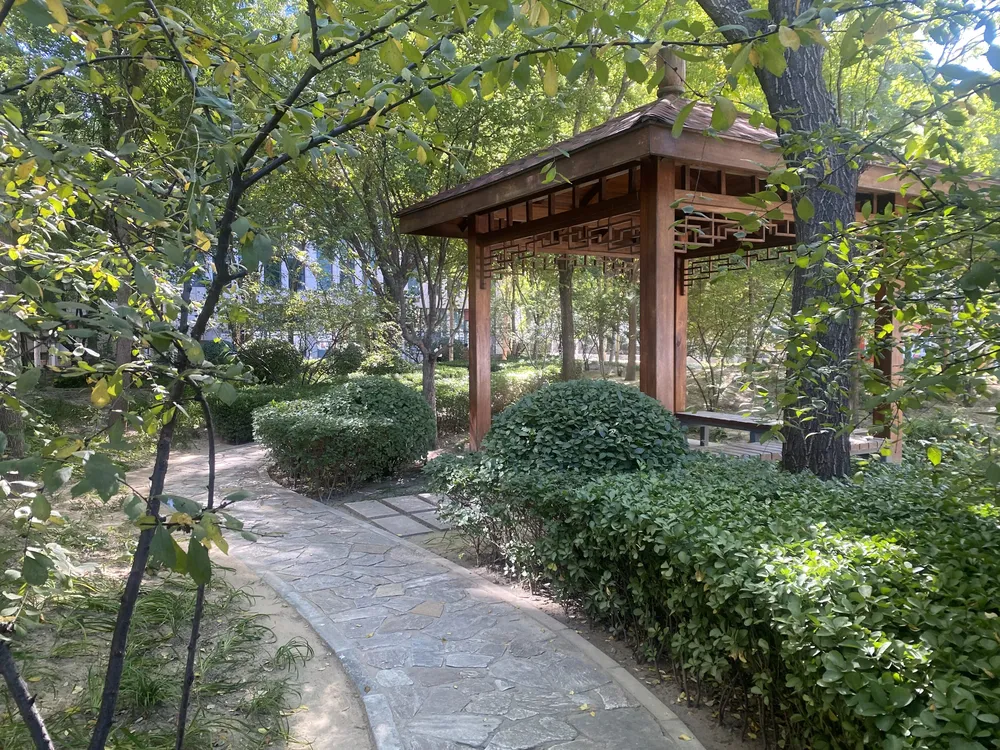 鼎好DH3实景